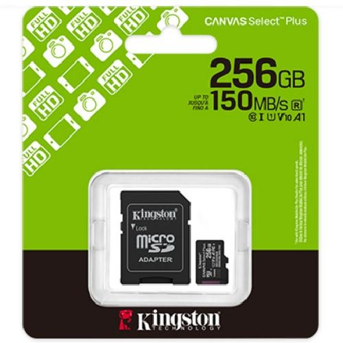 Kingston SDCS3/256GB